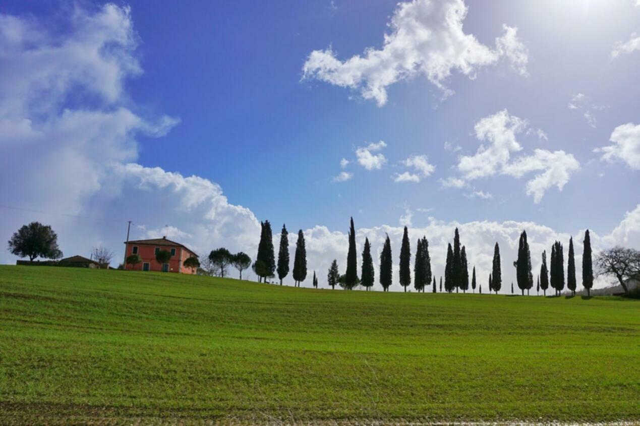 Casa Dante Apartment Vivo d'Orcia Exterior photo